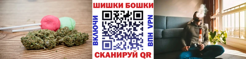 Canna-Cookies марихуана  Сольвычегодск 