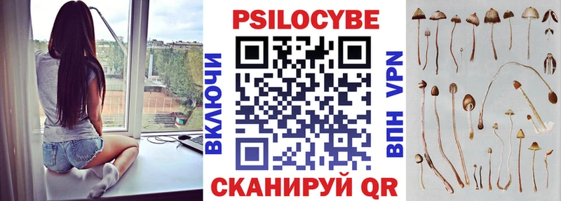 Псилоцибиновые грибы Psilocybe  мега ССЫЛКА  Сольвычегодск 